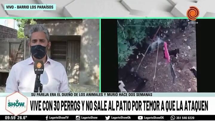 Tiene más de 30 perros y no los puede controlar: “Se comen entre ellos”