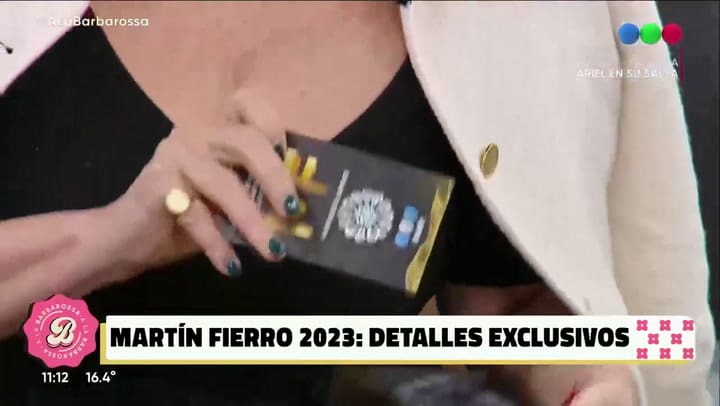Georgina Barbarossa mostró el obsequio que recibió desde los Martin Fierro para lucir en la gala
