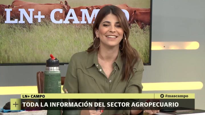 LN+CAMPO - Dicho 'Estás en la luna de Valencia'