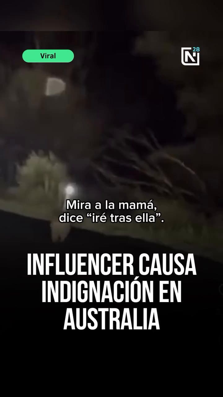 La influencer fue repudiada por lo que hizo