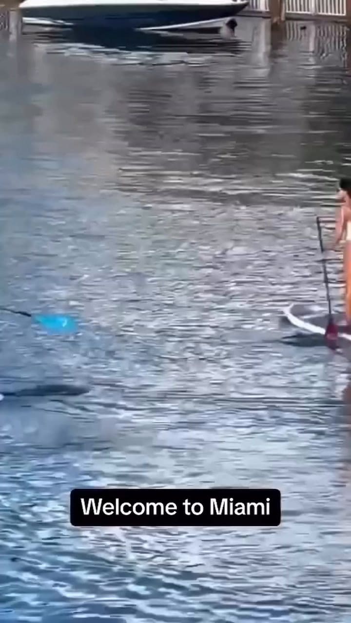 Jeff Bezos en los canales de Miami