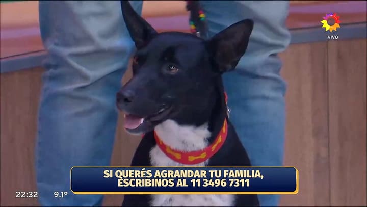 El emotivo momento en Buenas Noches Familia