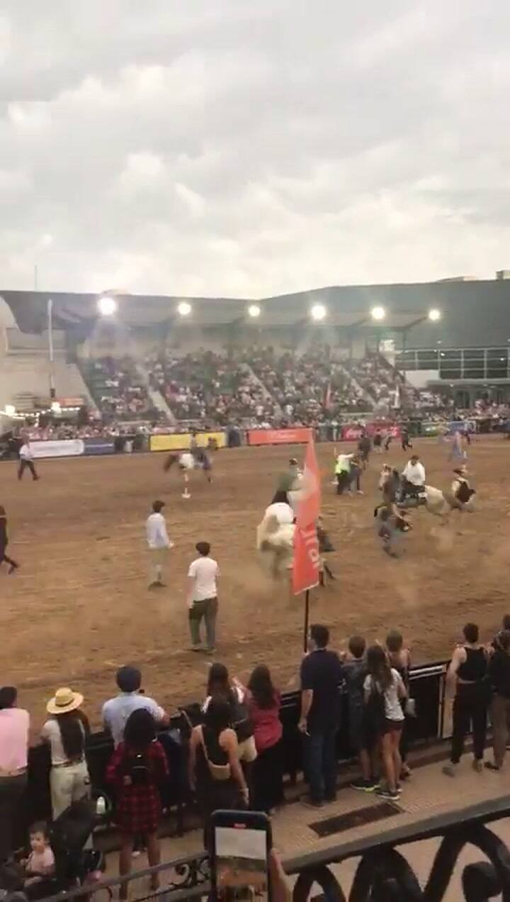 Un grupo de activistas irrumpió en medio de un Festival de Doma