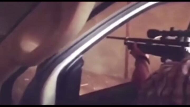 Una organización de conservación de la vida silvestre rescató 10 leones