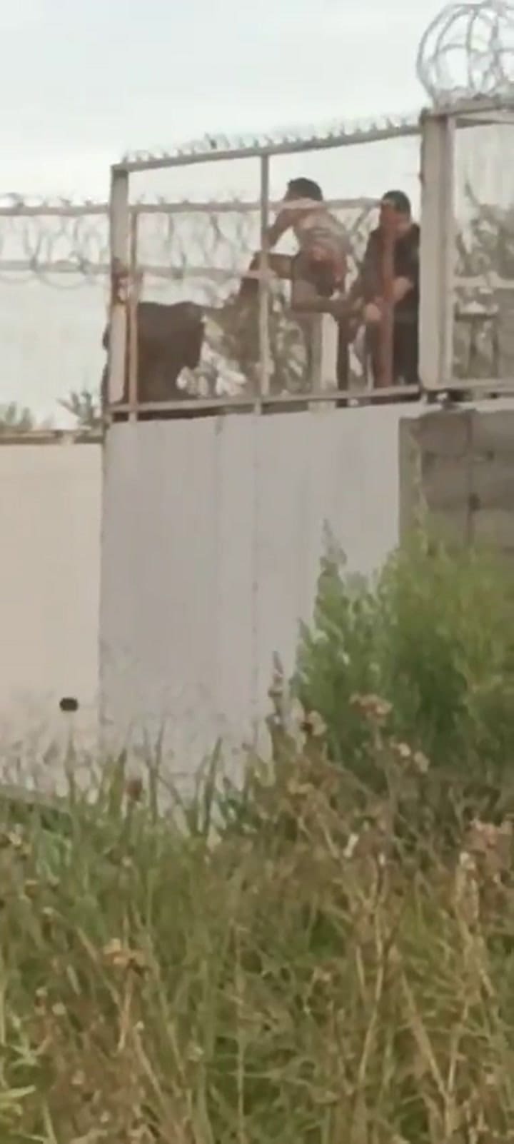 Desde la calle, un transeúnte captó en video la situación