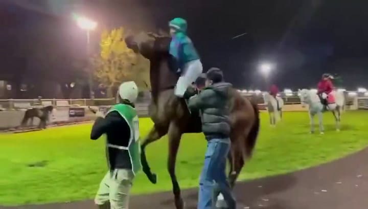Un jinete recibió un cabezazo de un caballo y quedó inconsciente en la previa de una carrera en Australia