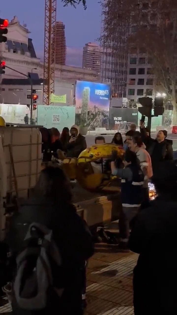 Así se llevaban al muñeco de Gaturro de Belgrano y Azopardo luego de ser vandalizado