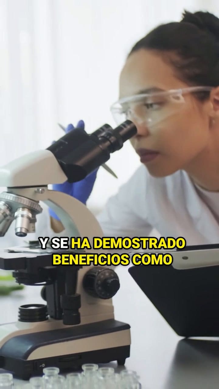 Cuáles son los beneficios de la cúrcuma