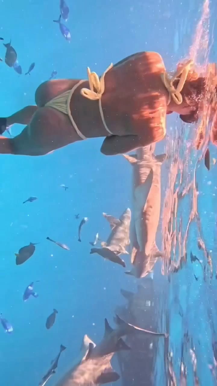 Las vacaciones soñadas de Aryna Sabalenka