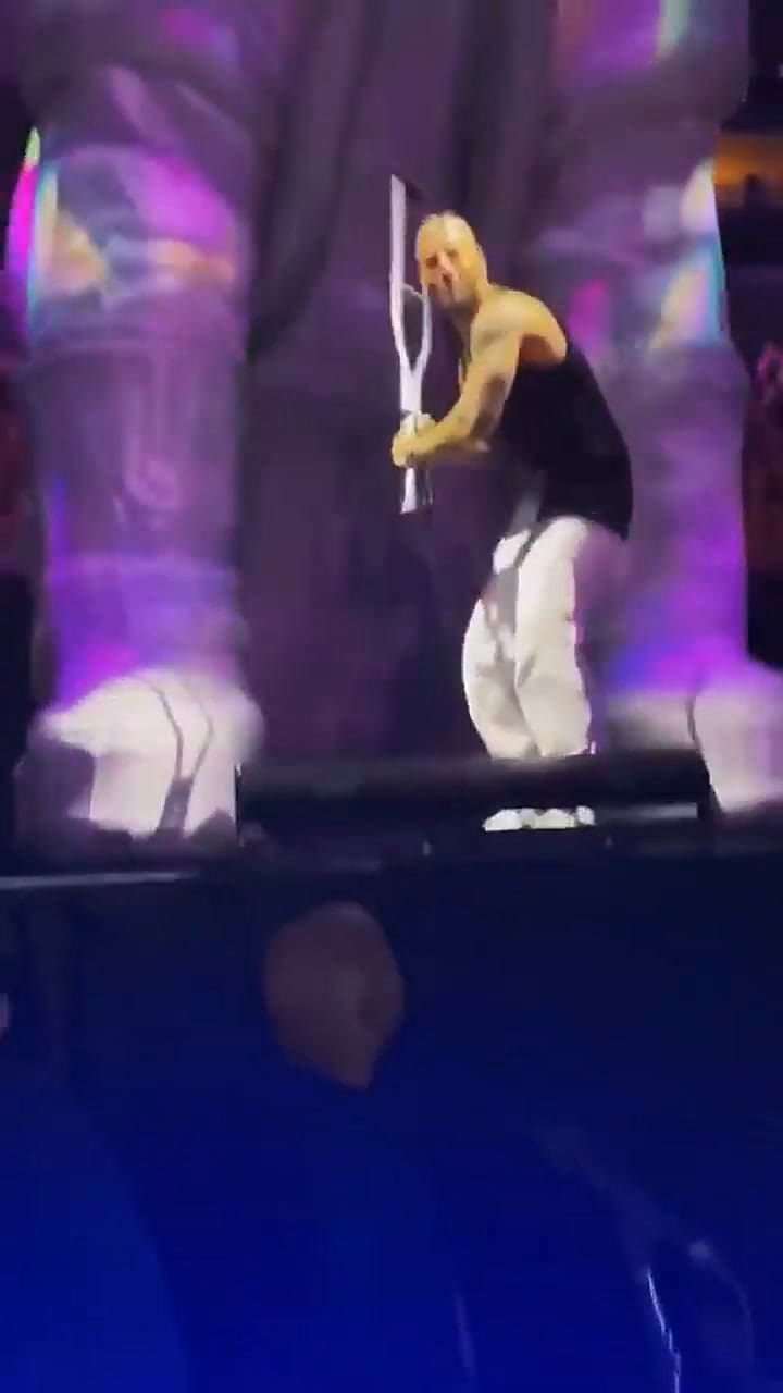 A Maluma le tiraron una muleta en pleno show y su reaccionó enloqueció a los fans