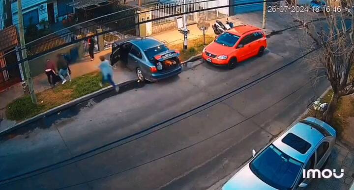 Robo piraña Caseros