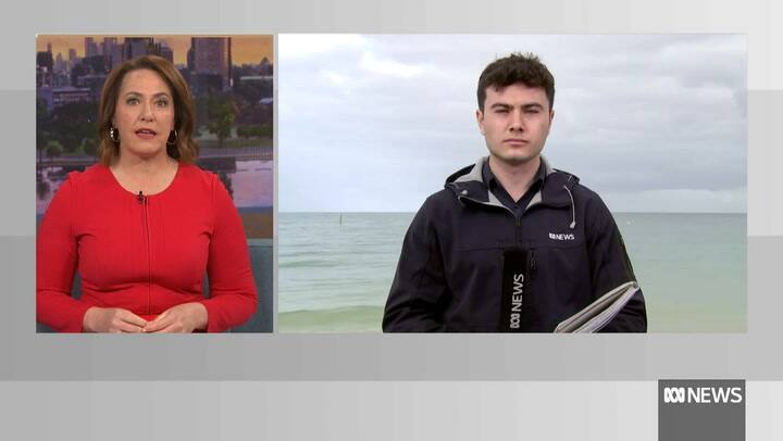 Cayó de un crucero, murió y se vivió una trágica escena