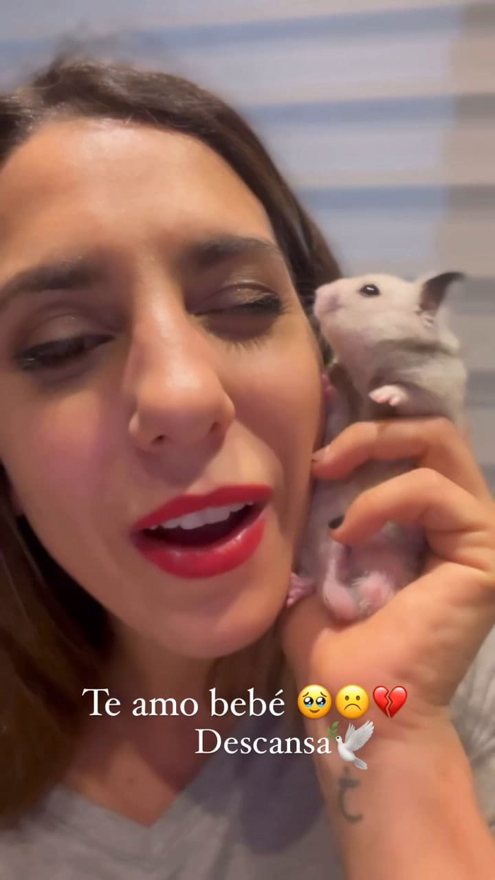 Snapinsta.app Video 323469278 1933960953739189 237961509088984294 N