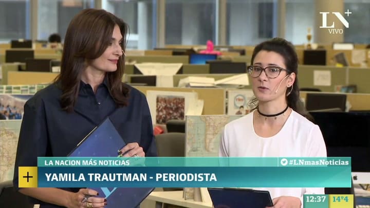 Cuáles serán las medidas de seguridad que se tomarán para el show de Ariana Grande