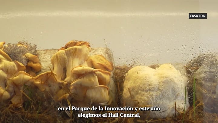 Casa FOA - ganadores