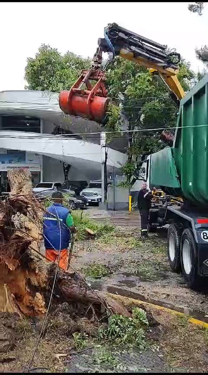 Temporal San Isidro