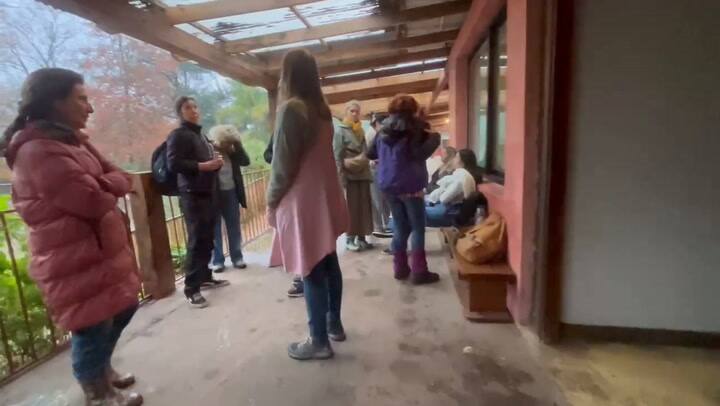 Vandalismo, robo y destrozos en la escuela.