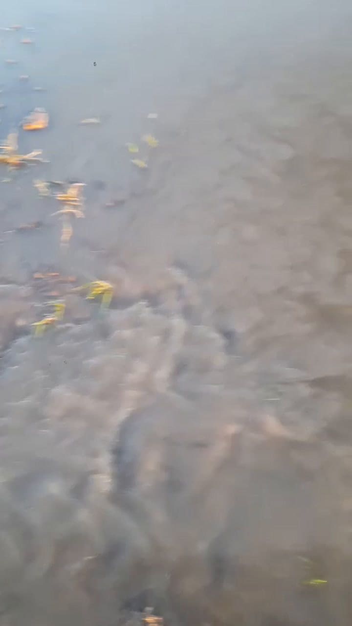 Caminos rurales del partido de Azul, provincia de Buenos Aires