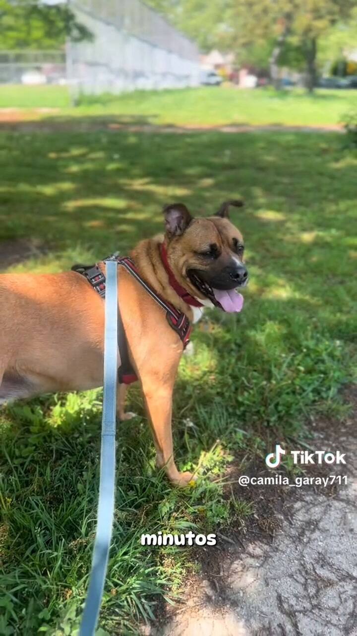 La demanda del servicio sigue alta, según contó Camila en su video