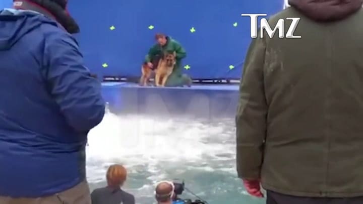 El maltrato animal durante el rodaje de una película de Universal causa indignación