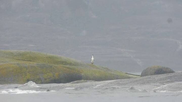 Expedicion de Kayak,Club Andino Bariloche y Cerveceria Konna
