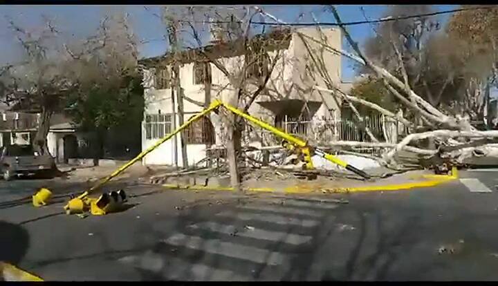Destrozos en mendoza por el Zonda. Fuente: Asociación choferes unidos Mendoza