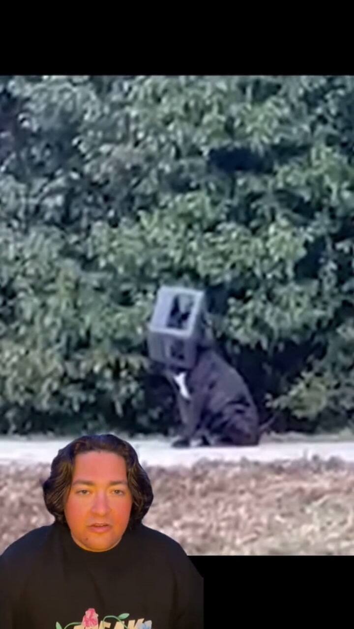 Un perro vivió con una caja en la cabeza y lograron sacarsela