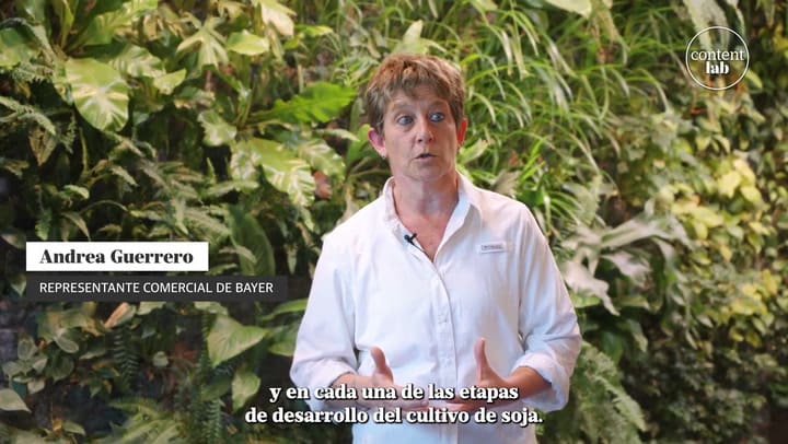 Portfolio amplio y mirada holística. Cuál es el mejor manejo agronómico de la soja.