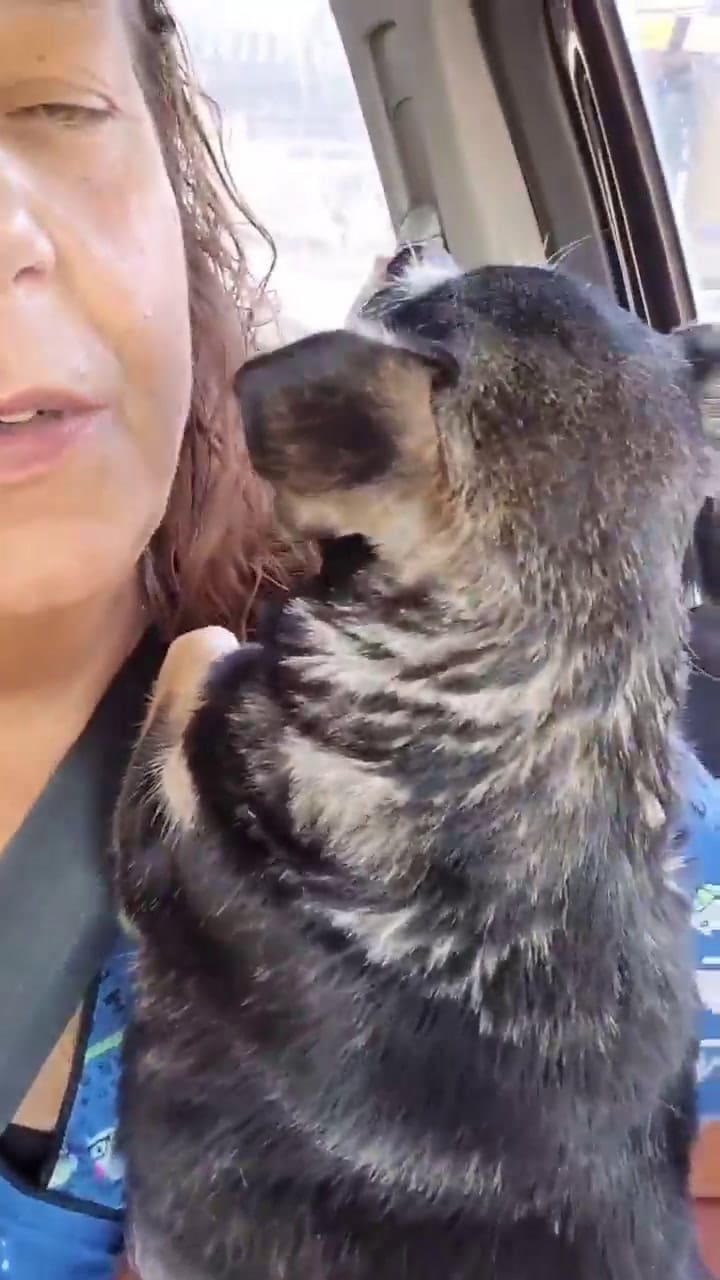 Reneé Cormillot contó su drama por tener que despedirse de una perra que rescató