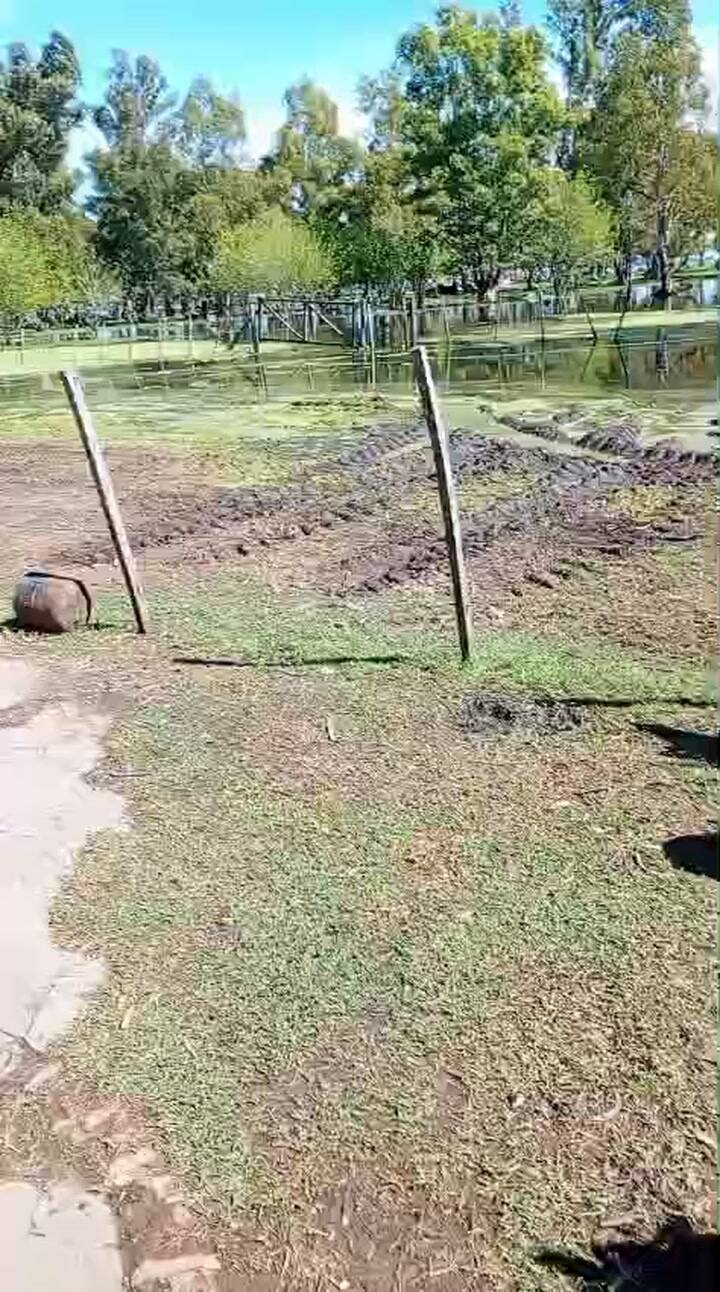 Así está una parte del campo