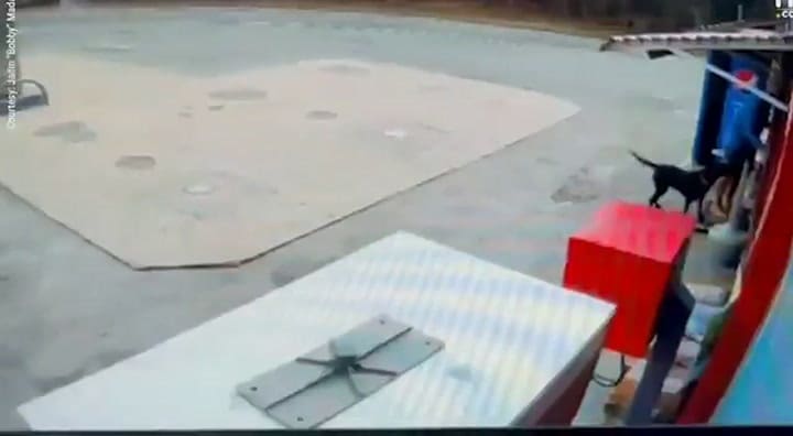 Así escapó la mujer en una estación de servicio del hombre que la mantuvo secuestrada