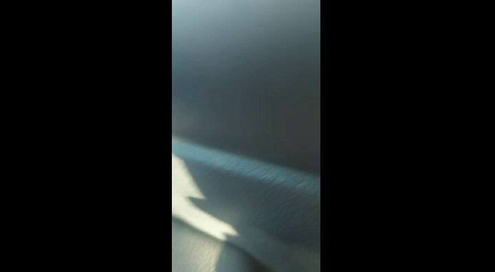 El campo tomado en Charata, Chaco