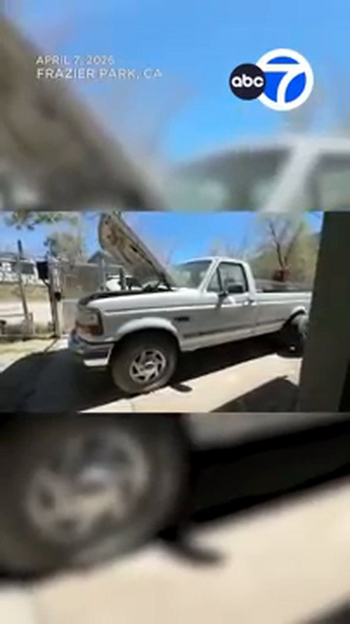 El hombre dio detalles del problema burocrático en California