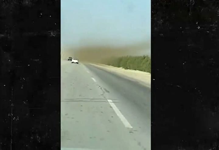 Plaga de langostas en Irán