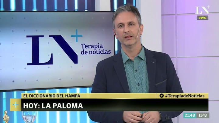 Diccionario del hampa: ¿qué significa 'la paloma'?