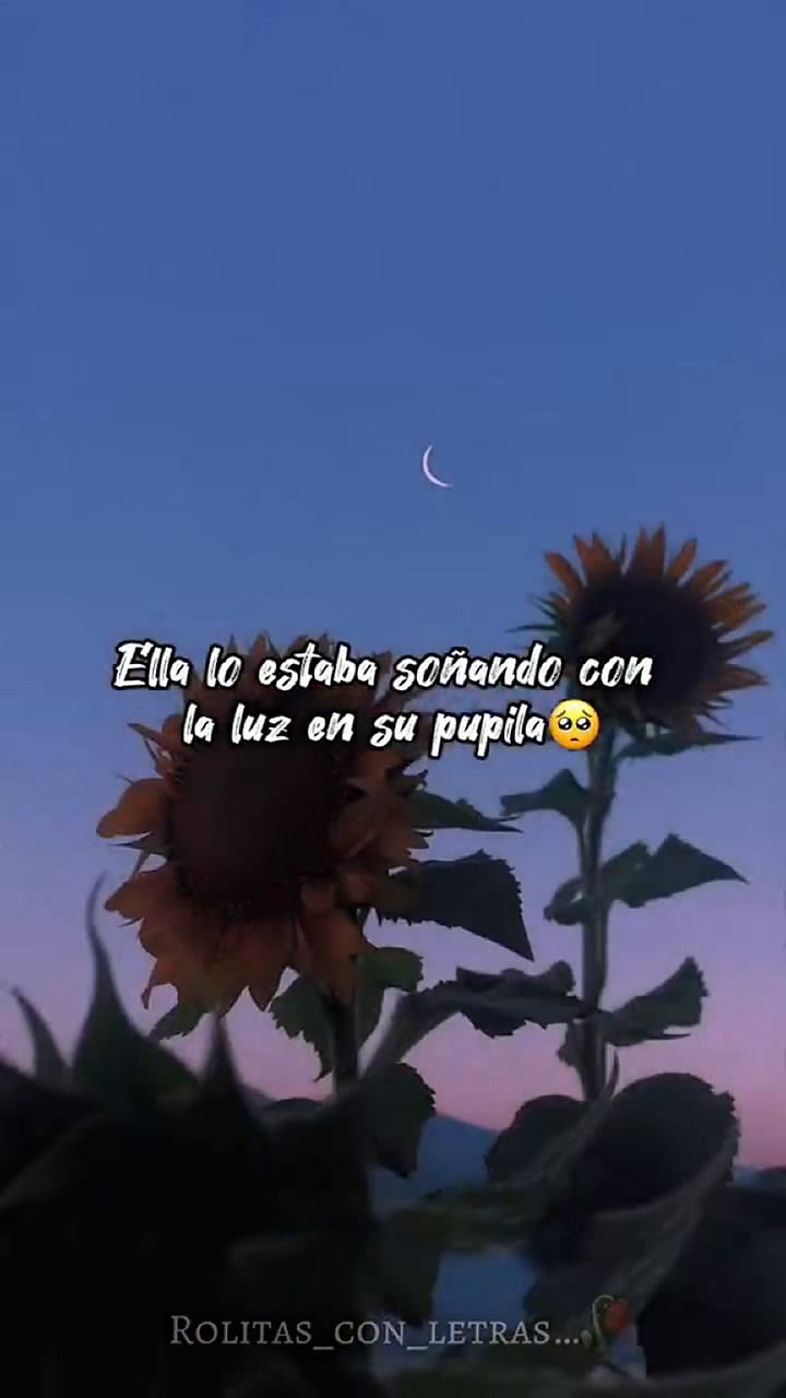 La canción 'Flores amarillas' de Floricienta se volvió viral en las redes y su causa enamoró a todos