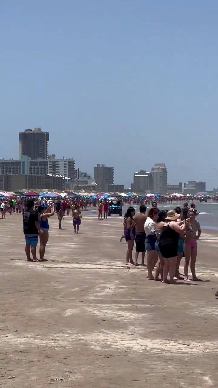 Patrullan Las Playas De Texas Luego De Varios Ataques De Un Tiburon