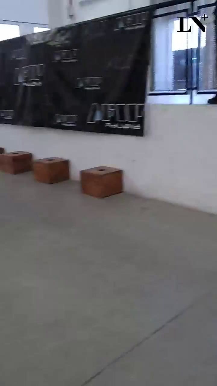 afipperros (Made by Headliner)