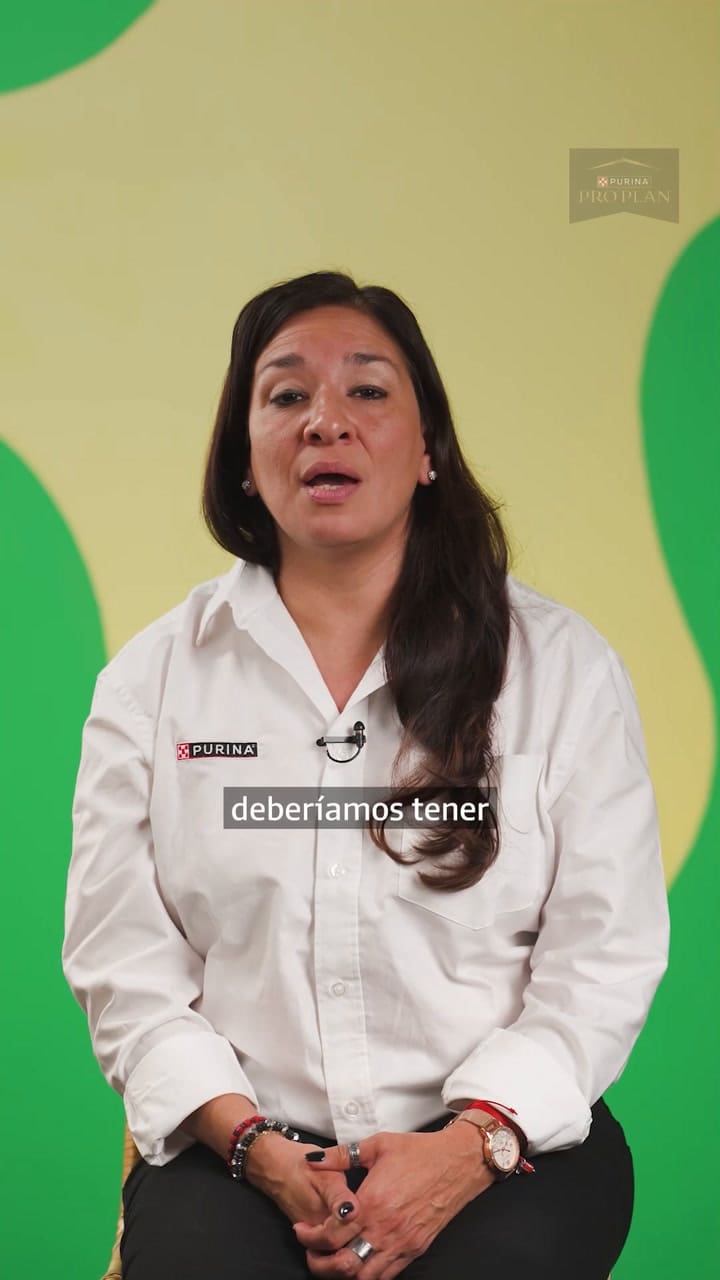 La alimentación en perros