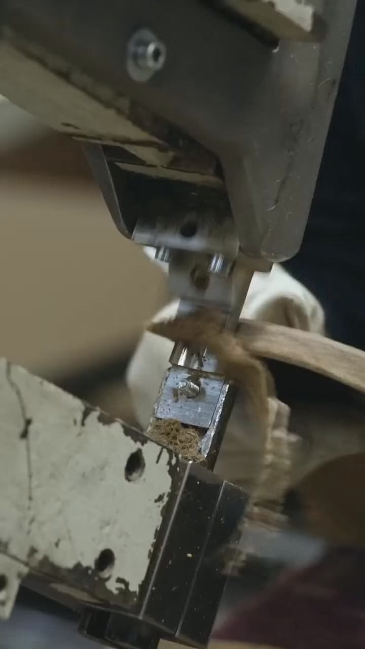 WhatsApp Video 2025-11-27 At 17.37.56