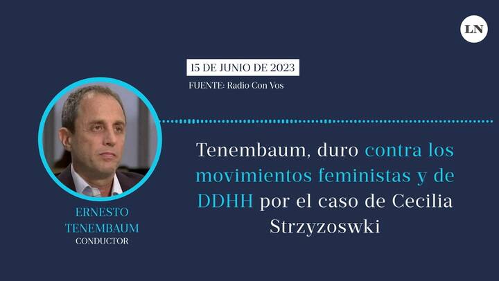 Tenembaum, duro contra los movimientos feministas y de DDHH por el caso de Cecilia Strzyzoswki