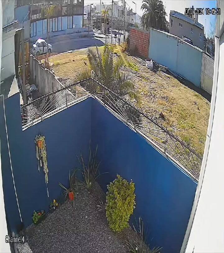 Los videos, las claves de la investigación