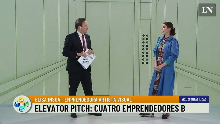 Elisa Silva, Emprendedora B Artista Visual