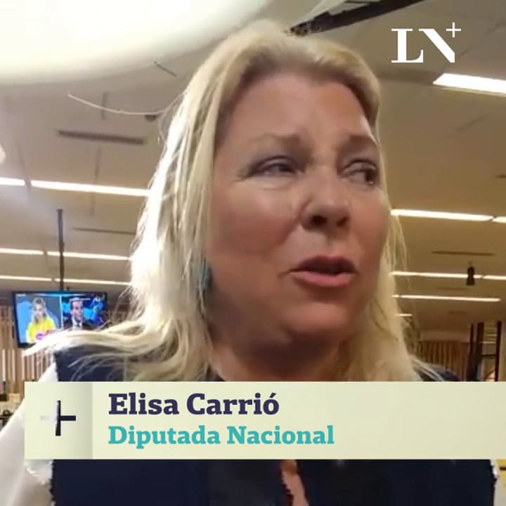Elisa Carrió - ¿Te gustaría competir con Florencio Randazzo en las próximas elecciones?