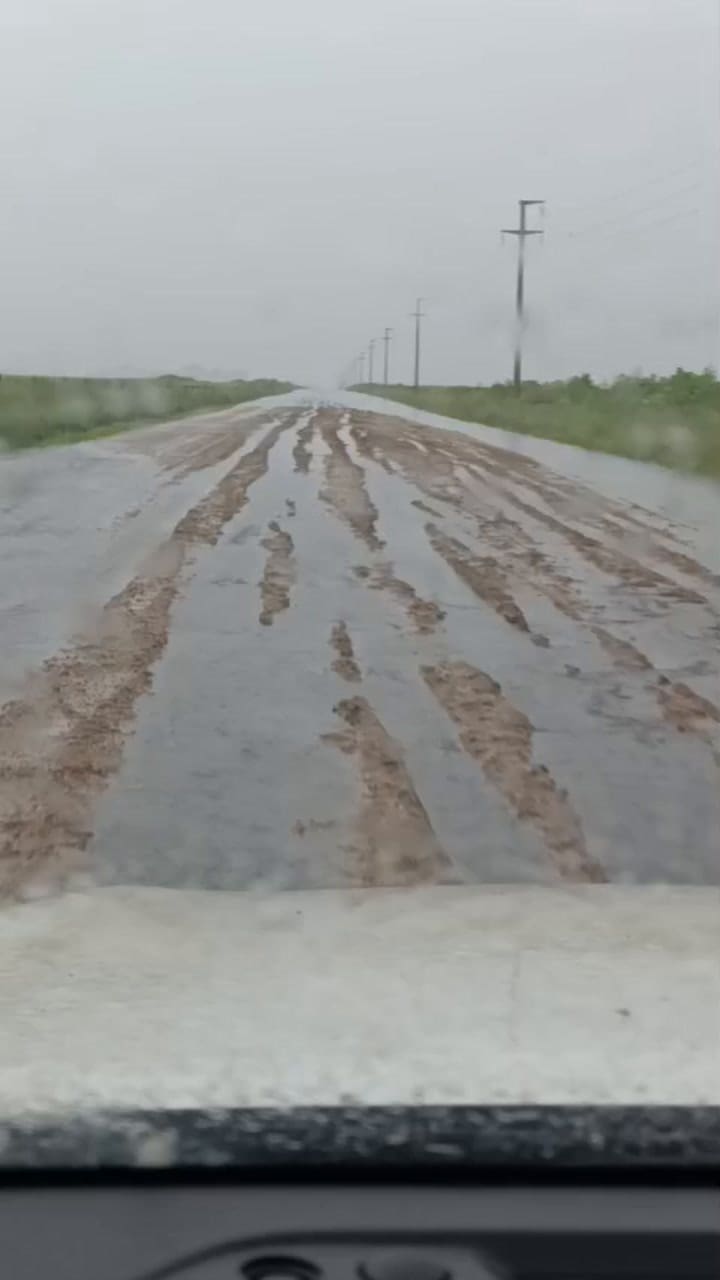 Caminos rurales en el partido bonaerense de Necochea