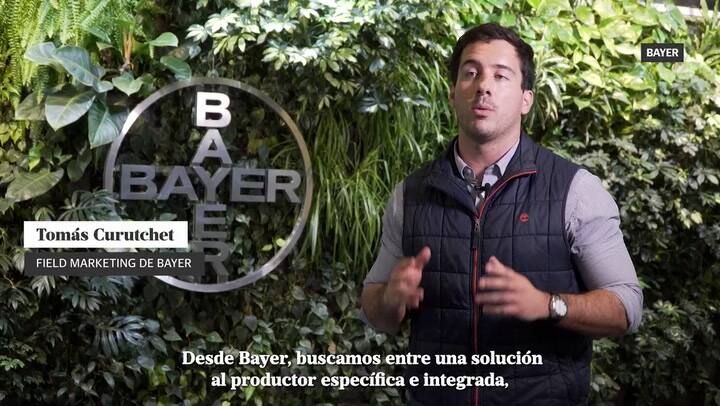 Las 6 claves a tener en cuenta este año para asegurar rendimiento.