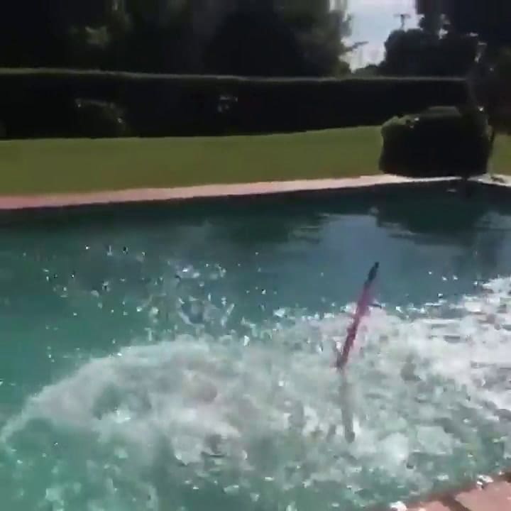 El polémico video de Fabián Cubero con Mica Viciconte en la pileta - Fuente: Instagram