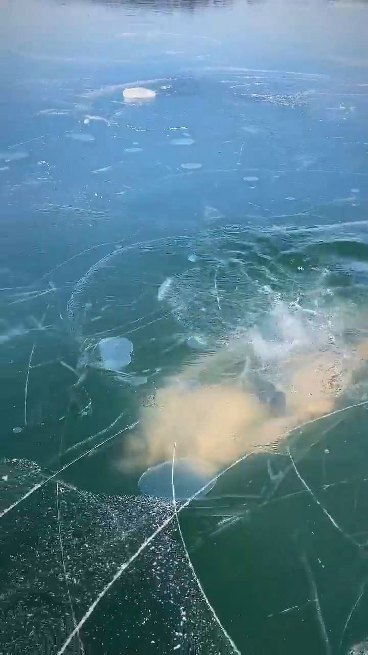 Nadó en un lago congelado y casi queda atrapado