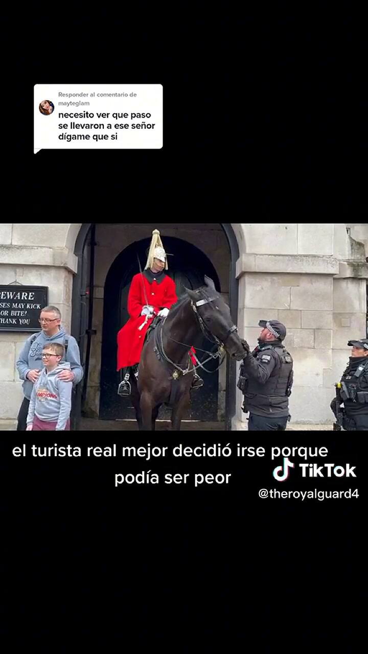 Un hombre se acercó a un caballo en Buckingham y casi termina arrestado por su reprochable accionar