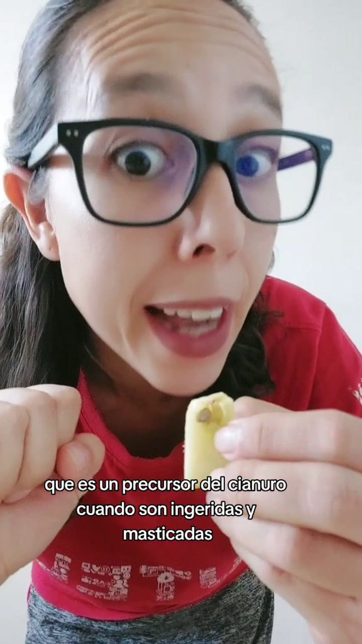 Por qué las semillas de las manzanas son peligrosas para el cuerpo